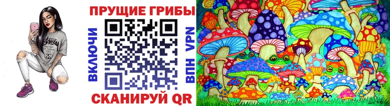 мега ссылки  Тетюши  Псилоцибиновые грибы Magic Shrooms 